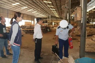 百色西林 多部門聯(lián)合深入鄉(xiāng)鎮(zhèn)木材加工廠開展消防安全檢查